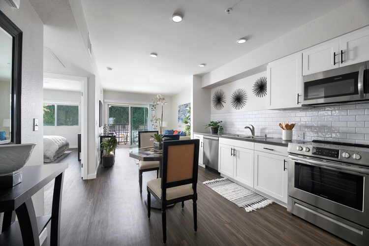 Apartment Kitchen